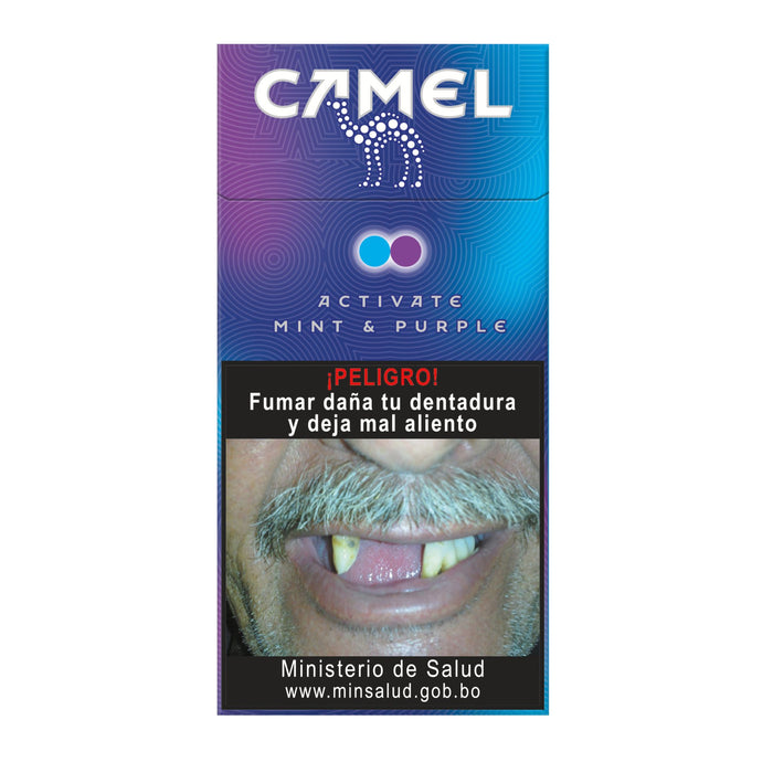 Cigarrillo Camel Double Mint Purple X 10 Unidades