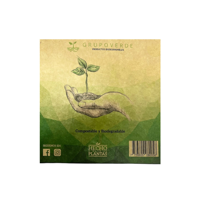 Platos Planos Grupo Verde Biodegradables X 25 Unidades
