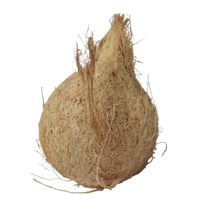 Coco Entero X 500G (Peso Aprox.)